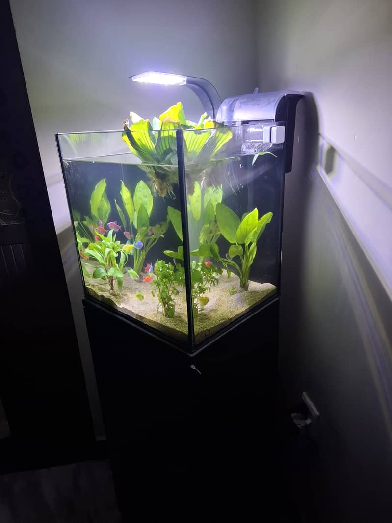 IMPORTED AQUARIUM 1