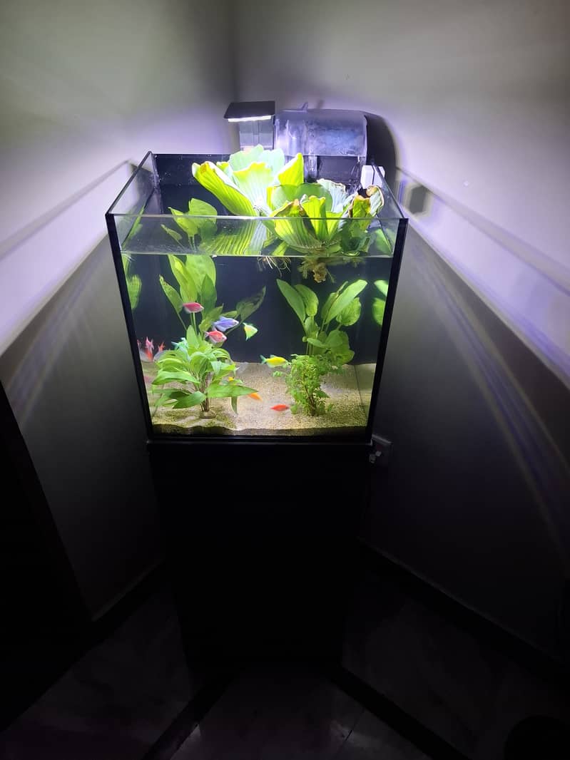 IMPORTED AQUARIUM 3