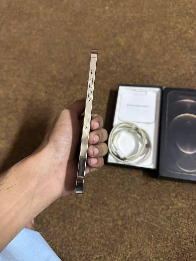 Apple iPhone 12 Pro Max 1