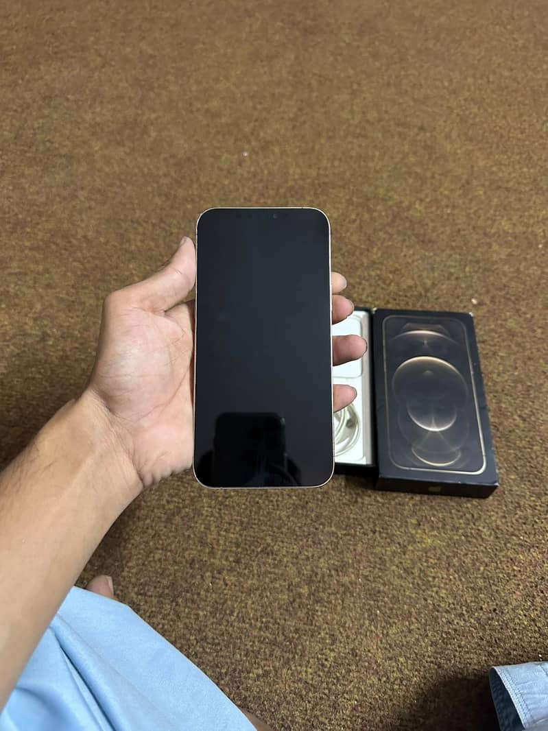 Apple iPhone 12 Pro Max 2