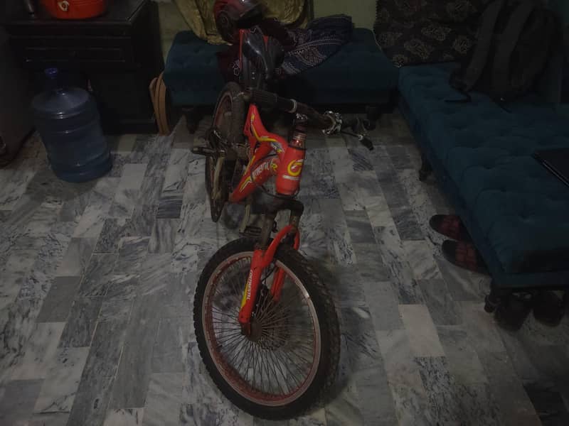 Mountain Cycle 2