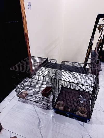 Bird Cage pair For Sale