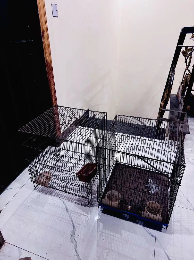 Bird Cage pair For Sale