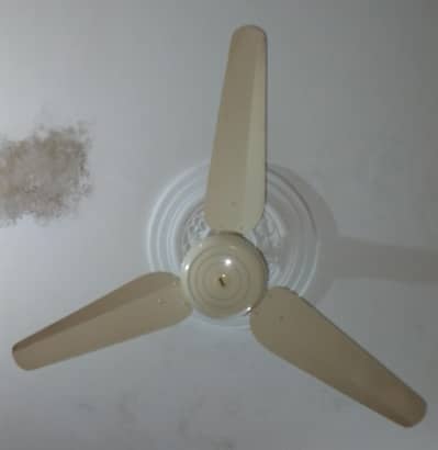 Afsar selling fan