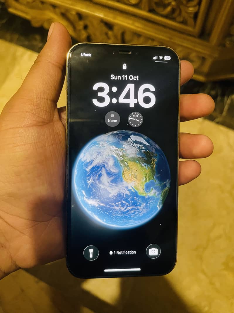 Apple iPhone 12 Pro 1