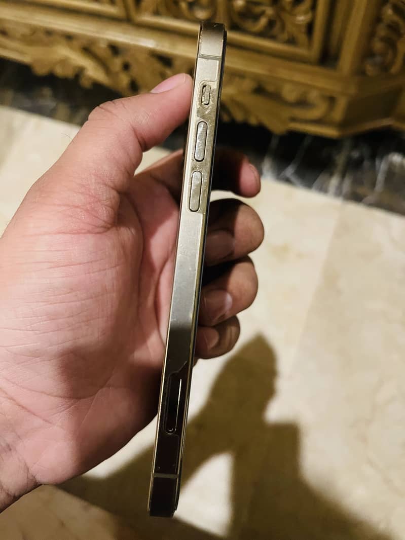 Apple iPhone 12 Pro 4