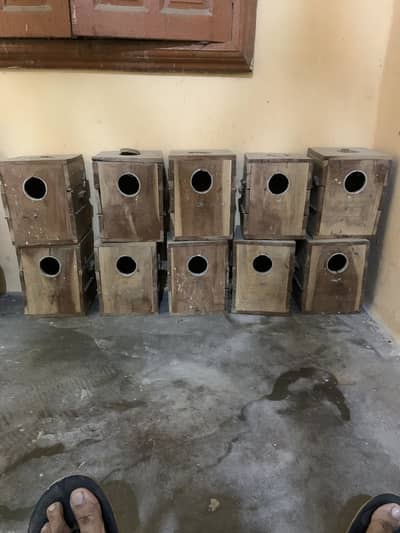 Lovebirds keker breeding boxes