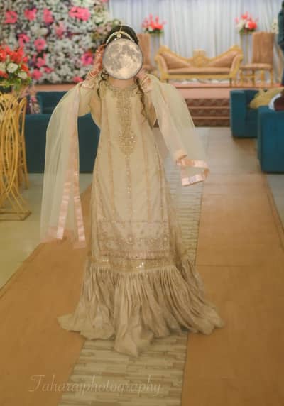 Rajhistani lehnga
