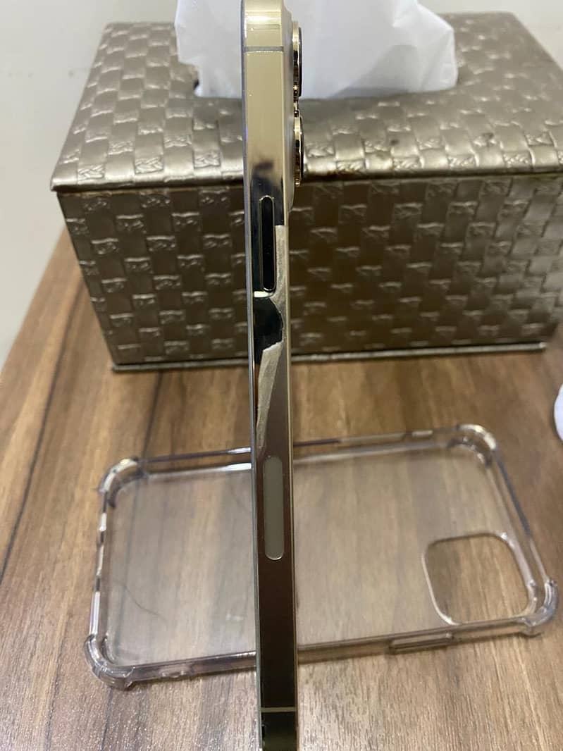Apple iPhone 13 Pro Max 1