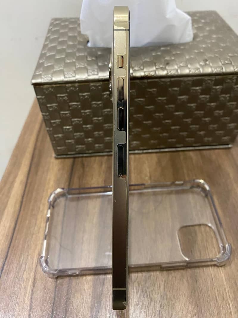 Apple iPhone 13 Pro Max 2