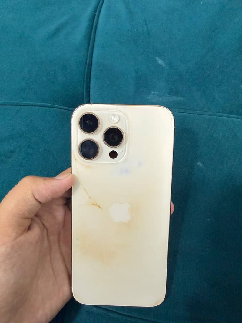 Apple iPhone 16 Pro Max 1