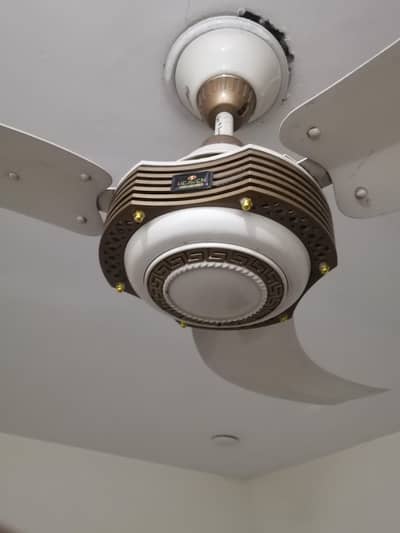 Fan for sale