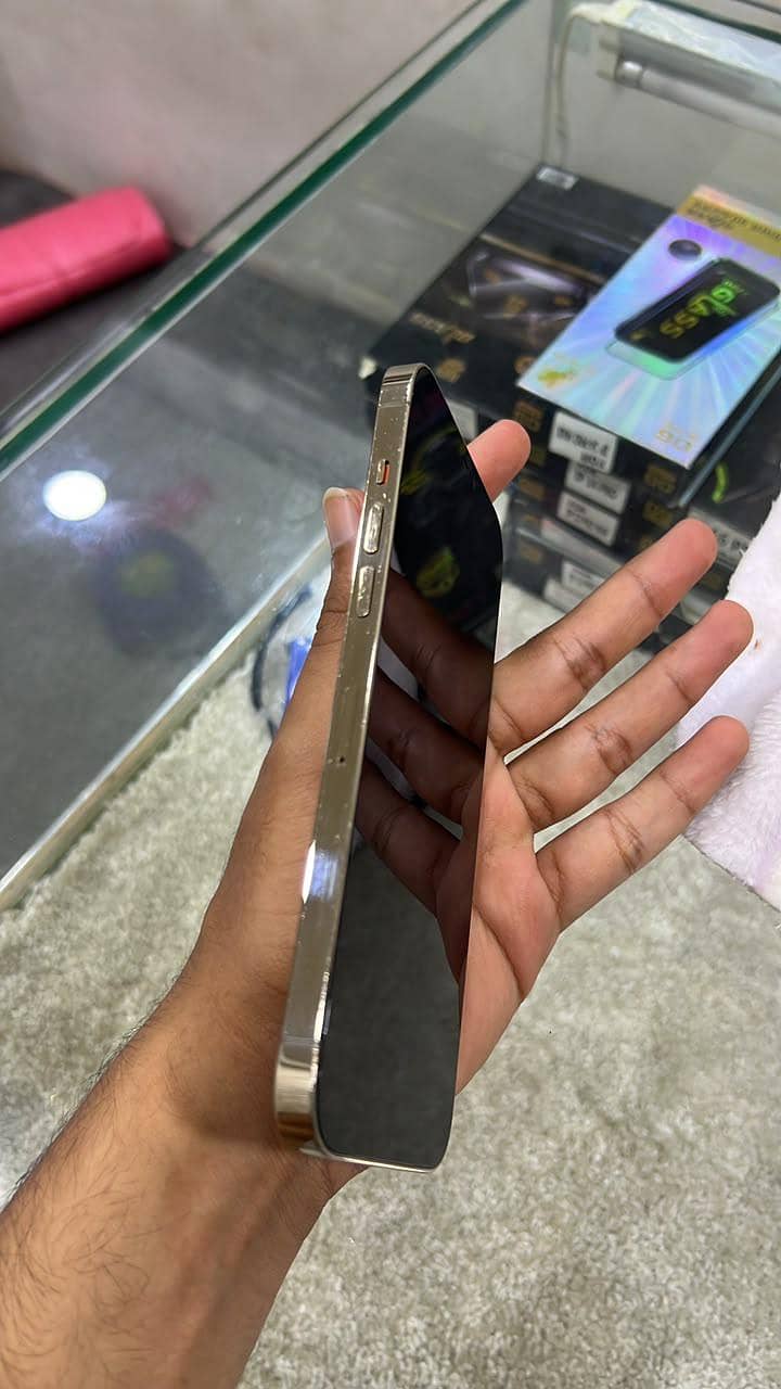 Apple iPhone 13 Pro Max 1