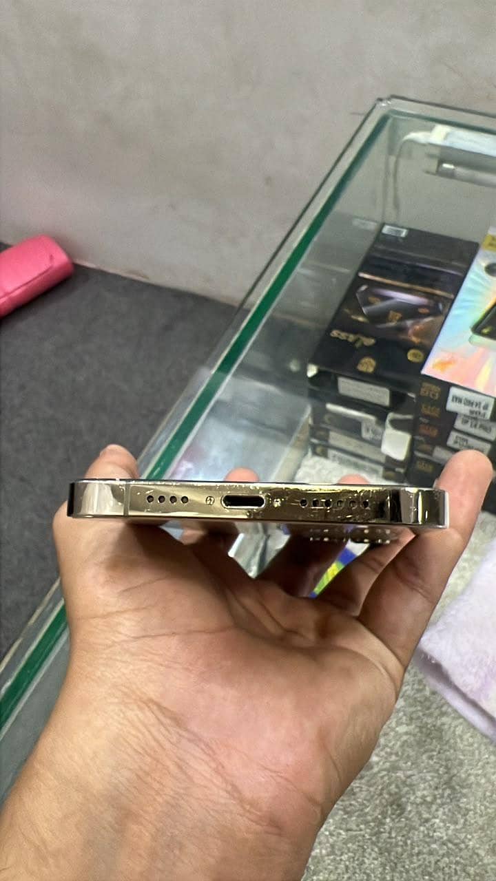 Apple iPhone 13 Pro Max 2