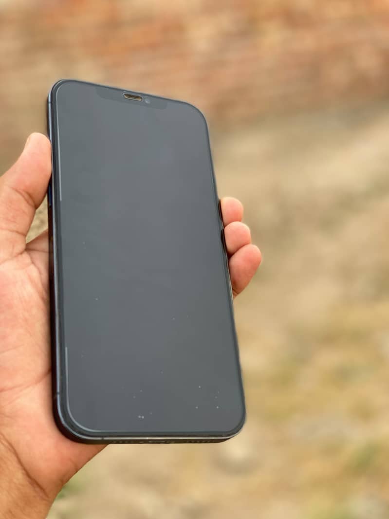 Apple iPhone 12 Pro Max 2
