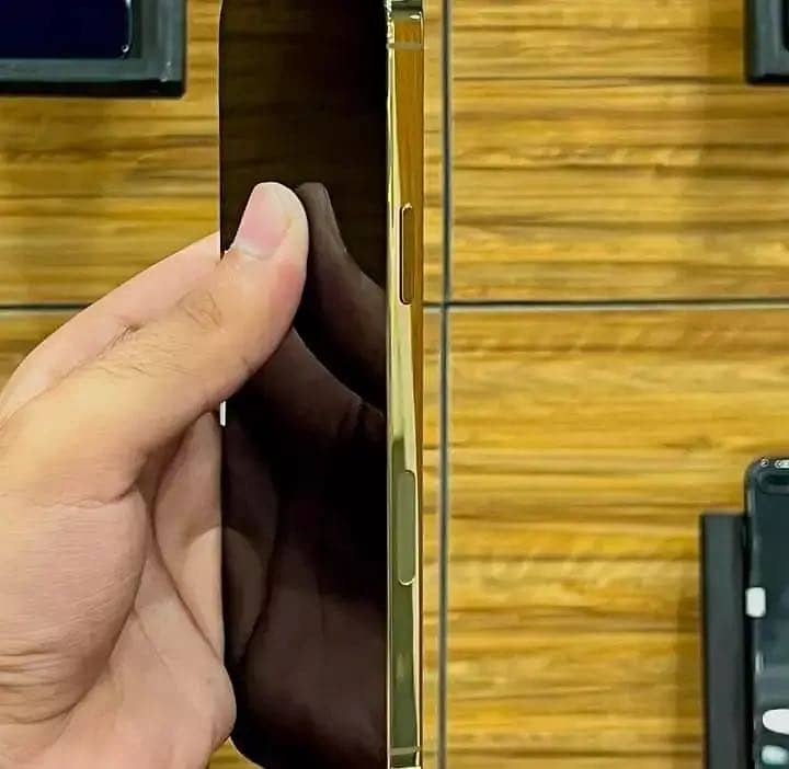 Apple iPhone 12 Pro Max 1