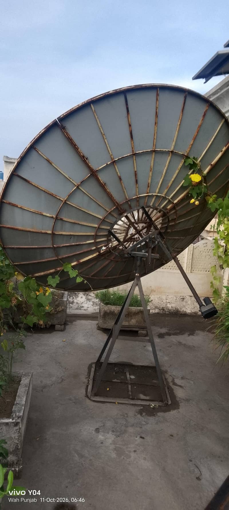 Dish system 1