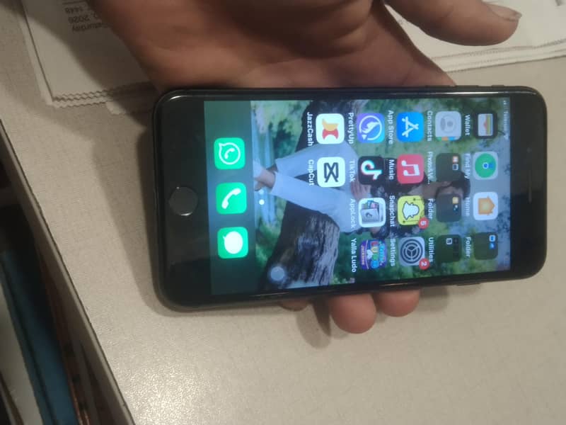 iphone 5
