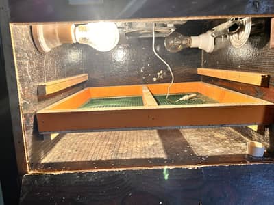Egg Incubator Machine | WAPDA + UPS/Inverter Compatible