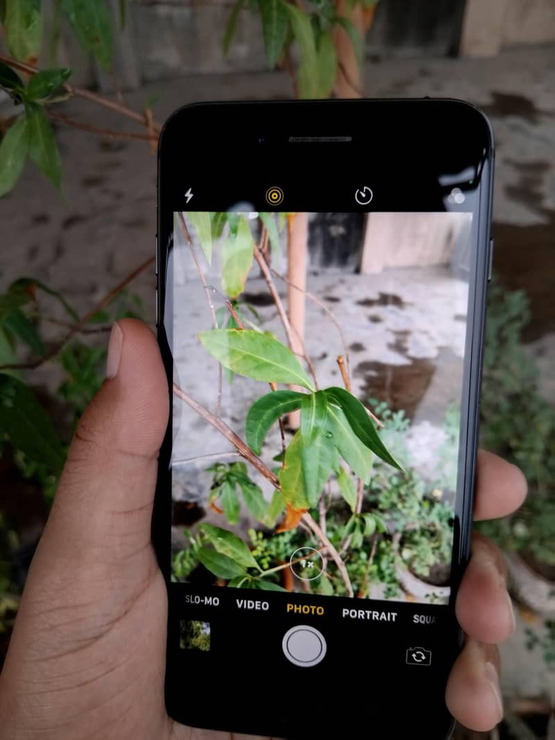 Apple iPhone 8 Plus 4