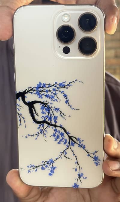 Apple iPhone 16 Pro Max