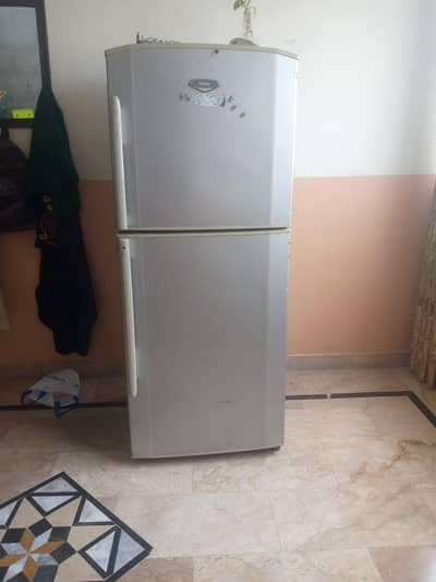 haier big size fridge