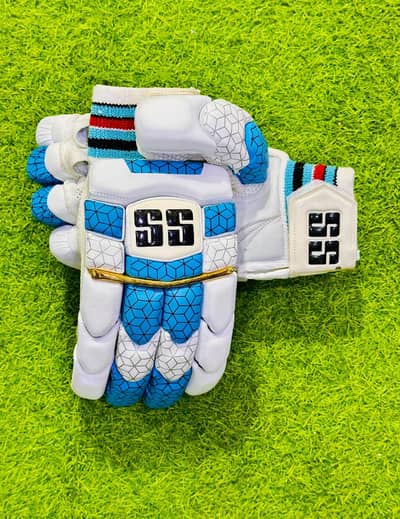 SS gloves