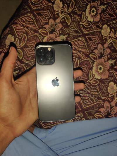 Apple iPhone 13 Pro Max