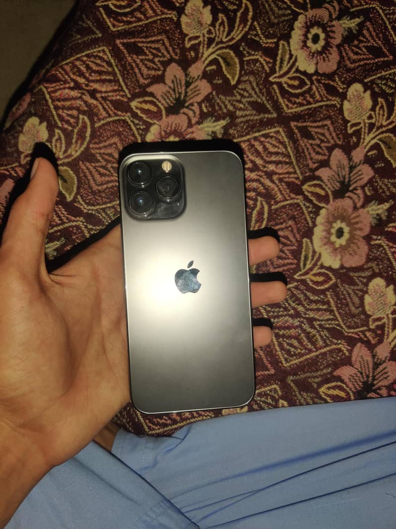 Apple iPhone 13 Pro Max 0
