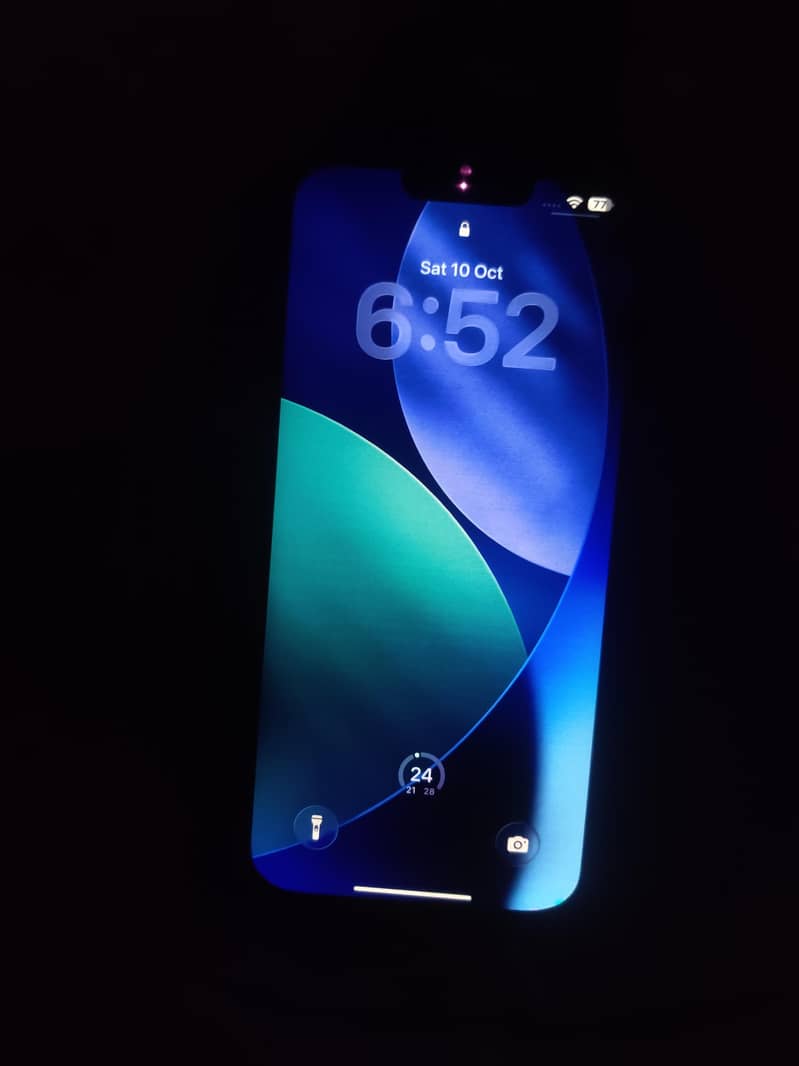 Apple iPhone 13 Pro Max 1