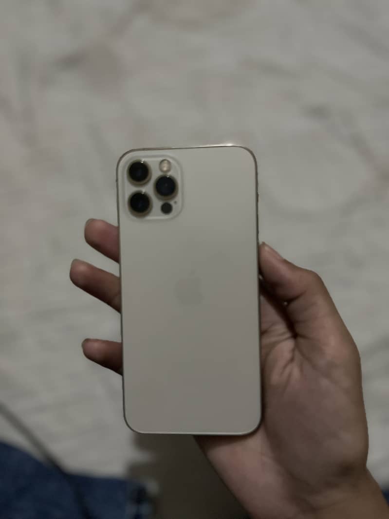 Apple iPhone 12 Pro 1