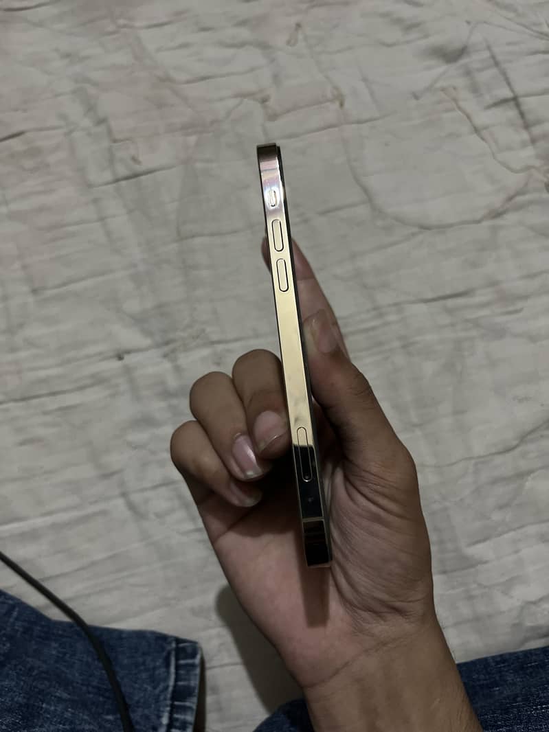 Apple iPhone 12 Pro 3