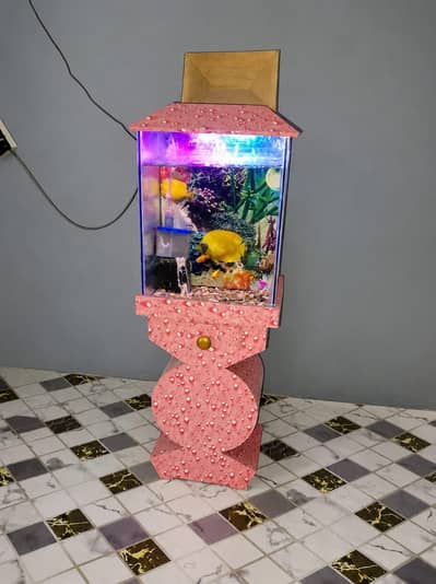 Beautiful Fish Aquarium with Stylish Stand – Rs. 10,000