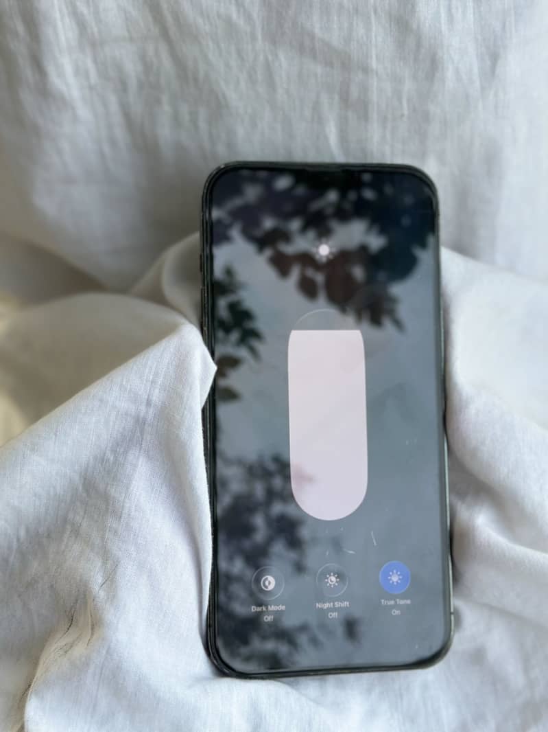 Apple iPhone 13 Pro Max 2