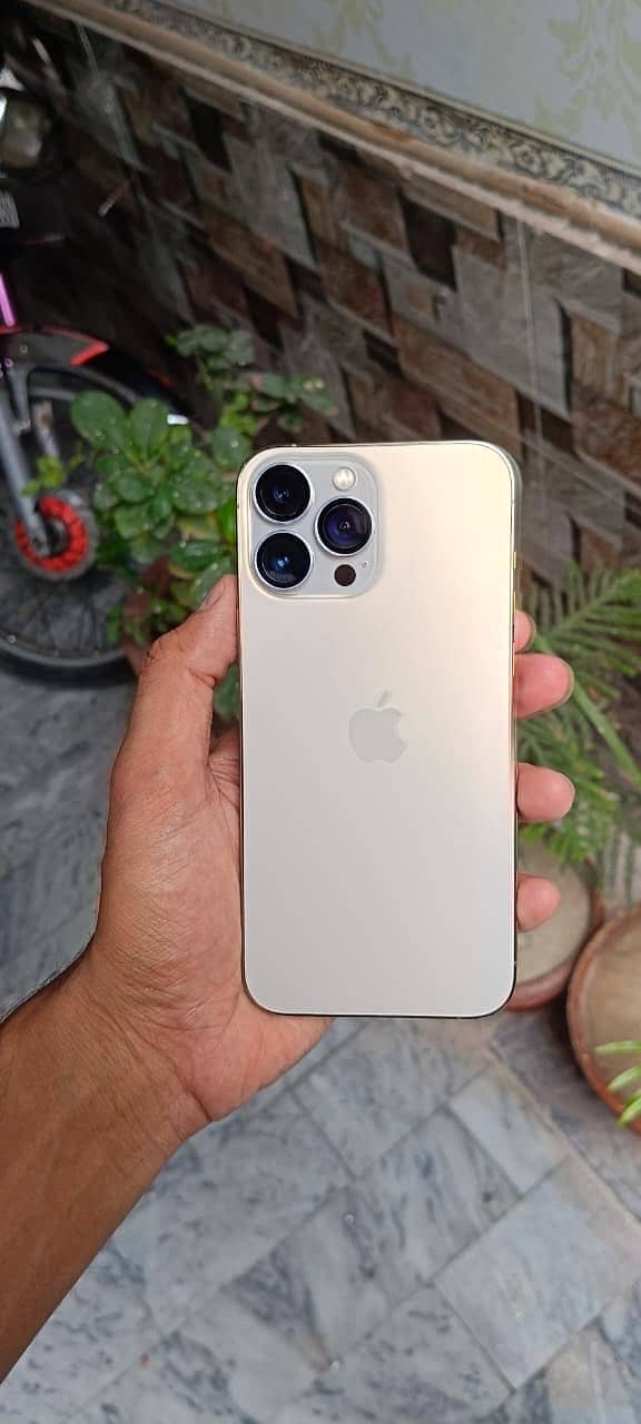 Apple iPhone 13 Pro Max 0