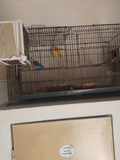 breeder pairs