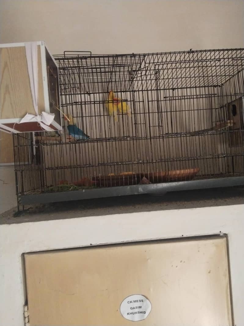 breeder pairs 0