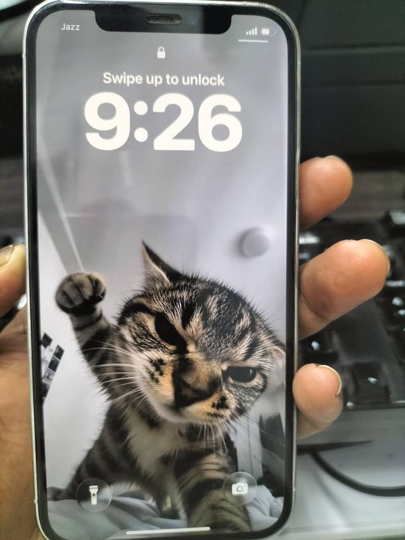 Apple iPhone 12 Pro 4