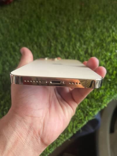 Apple iPhone 13 Pro Max with 4 months sim time 512