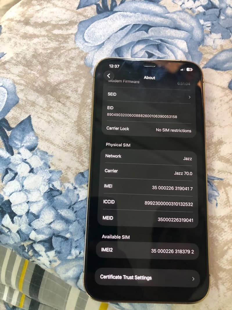 Apple iPhone 12 Pro Max 1
