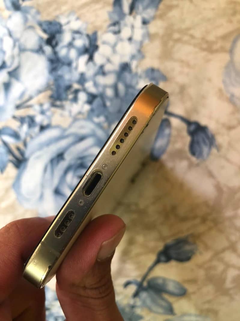 Apple iPhone 12 Pro Max 2