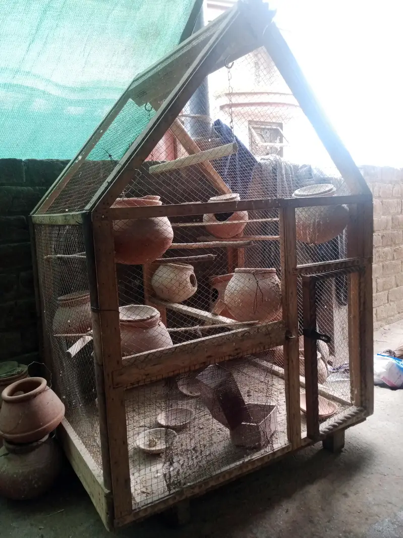 pinjra for sale — photo 2