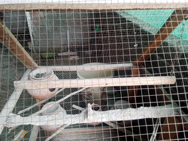 pinjra for sale — photo 4