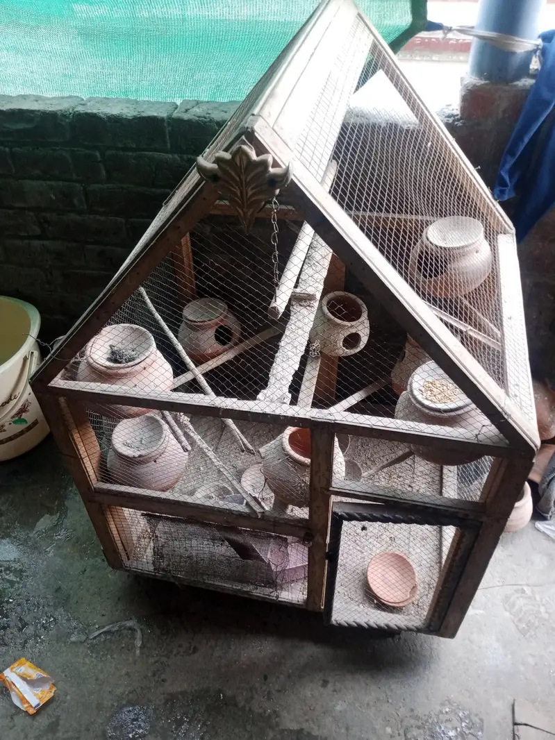pinjra for sale — photo 5