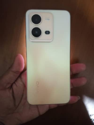 Vivo V25e