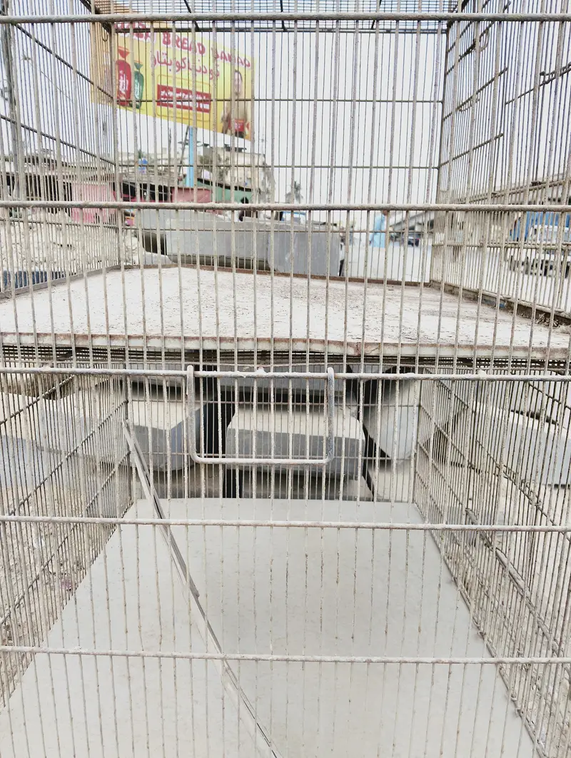 BIRDS CAGES WITH GOOD CONDITION — photo 3