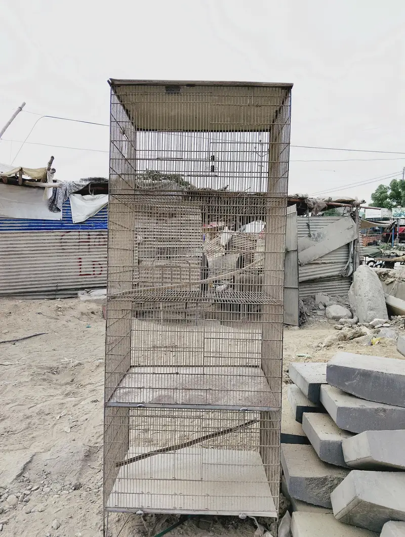 BIRDS CAGES WITH GOOD CONDITION — photo 4