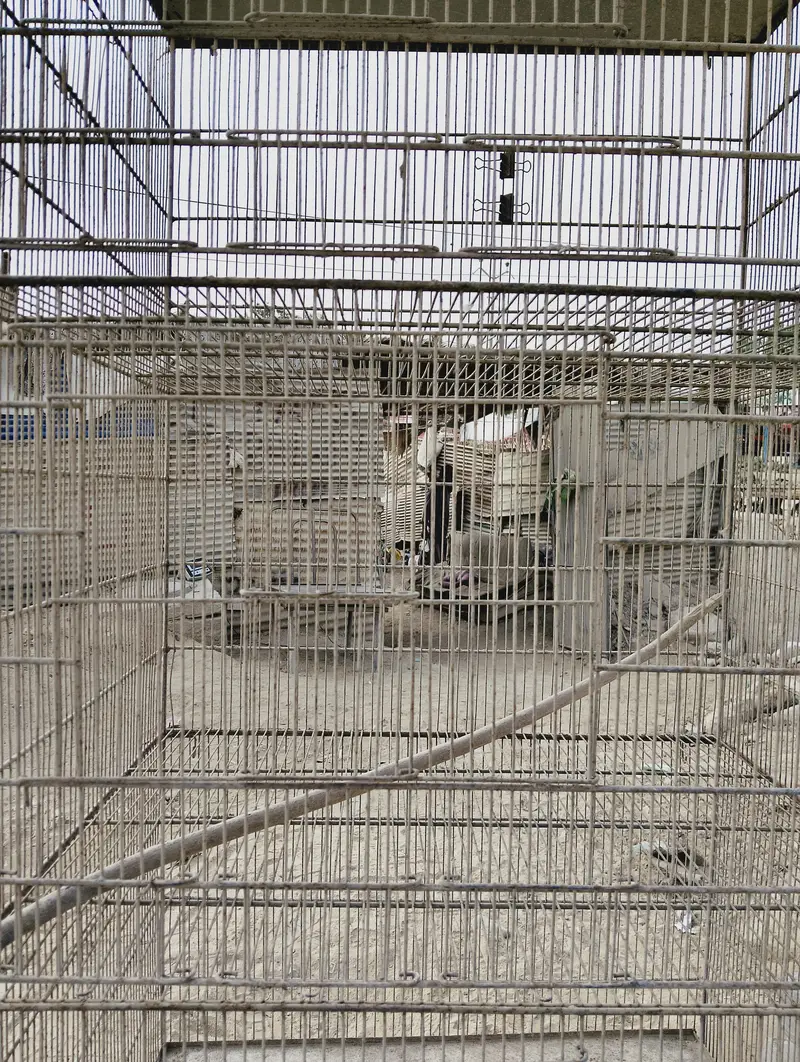 BIRDS CAGES WITH GOOD CONDITION — photo 5