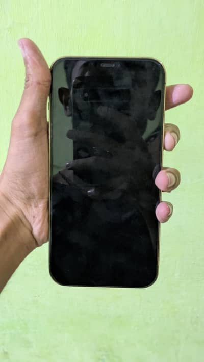 Apple iPhone 12 Pro Max