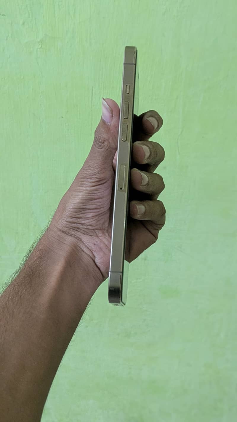 Apple iPhone 12 Pro Max 1